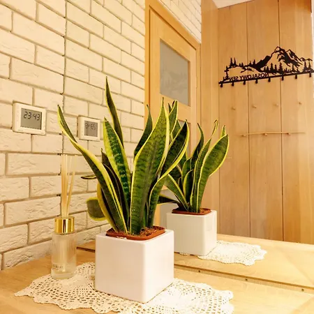 Nosalowy Sen Jacuzzi & Sauna * Zakopane