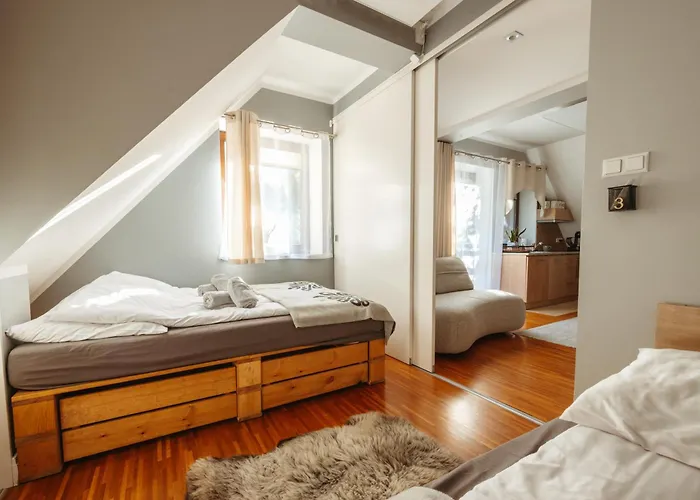 公寓 Nosalowy Sen Jacuzzi & Sauna 扎科帕内