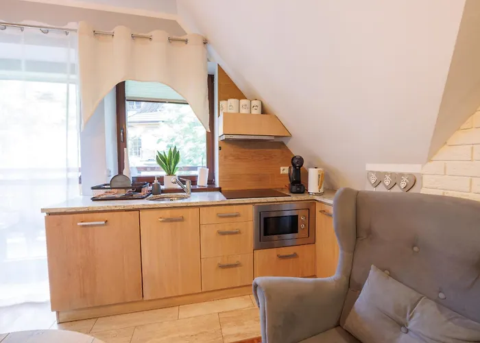 Nosalowy Sen Jacuzzi & Sauna 公寓 *