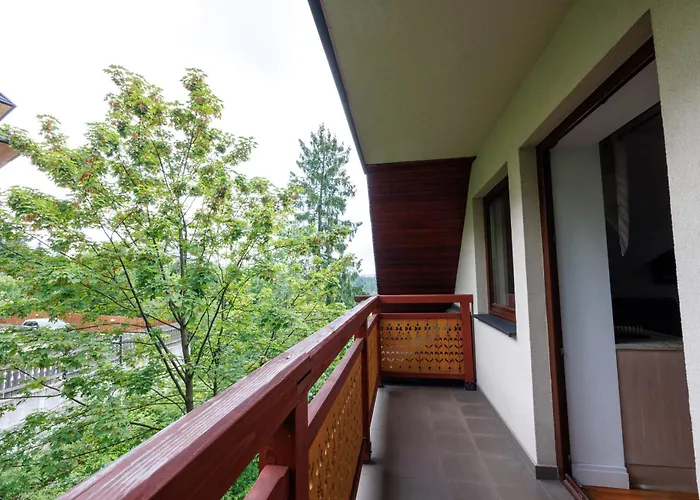 公寓 Nosalowy Sen Jacuzzi & Sauna 扎科帕内