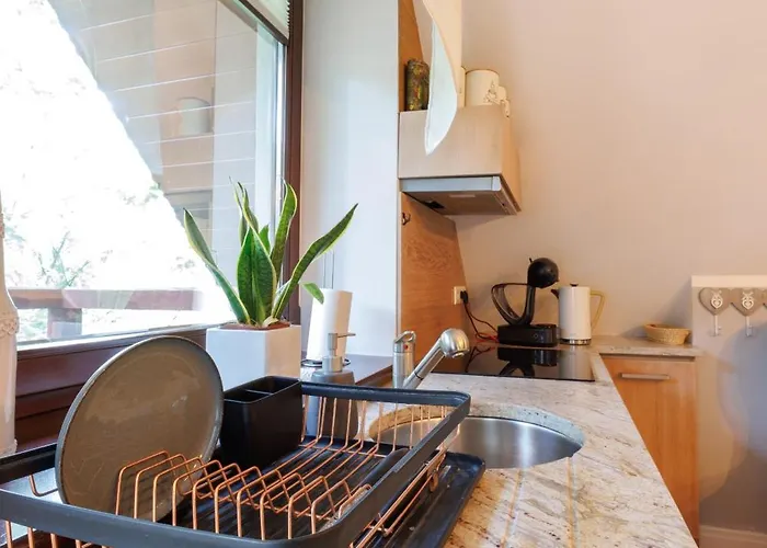 Nosalowy Sen Jacuzzi & Sauna * 扎科帕内