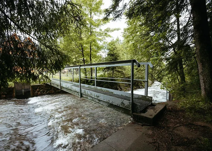 公寓 Nosalowy Sen Jacuzzi & Sauna